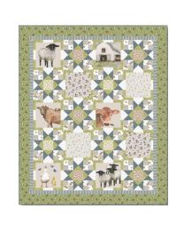 A Beautiful Day Quilt Kit from Henry Glass