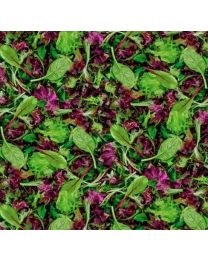 A La Carte Lettuce Entertain You from Windham Fabrics