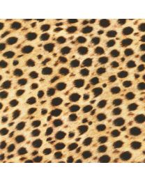 Animal Kingdom Cheetah from Robert Kaufman