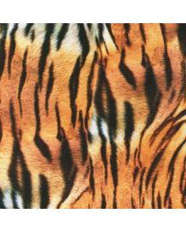 Animal Kingdom Tiger from Robert Kaufman
