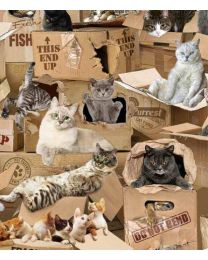 Cats in Boxes  from Timeless Treasures