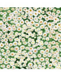 Daisies from Timeless Treasures