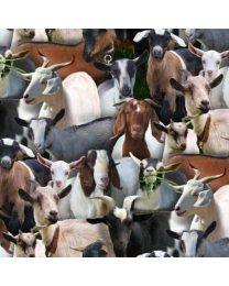 Farm Animals Goats Black by Elizabeths Studio