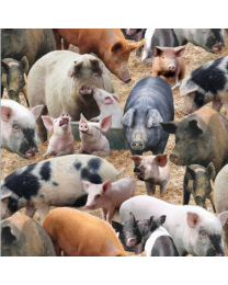 Farm Animals Pigs Brown by Elizabeths Studio