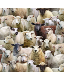 Farm Animals Sheep Multi by Elizabeths Studio