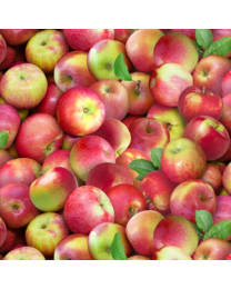 Food Festival Apples from Elizabeth Studio