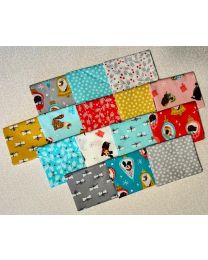 Furry and Bright Fat Quarter Bundle from Andover