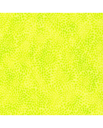 Fusions 7 Citrus from Fusion Collections for Robert Kaufman