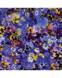 Hand Picked Pansies by Nicholas Lapp for Maywood