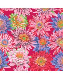 Kaffe Fasset Collective Tropical Water Lilies Red by Philip Jacobs for Free Spirit