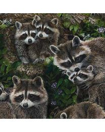 Little Rascals Raccoons Multi by Karla Mann for Northcott Fabrics