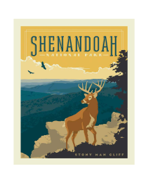Shenandoah Panel from Riley Blake Fabrics