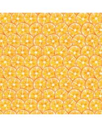 Squeeze The Day Citrus Slices Orange by Cynthia Coulter for Wilmington Prints