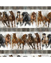 Stallion Border Stripe by Elise Genest for Northcott 
