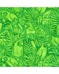 Welcome to Paradise Parrots Lime Batik from Robert Kaufman
